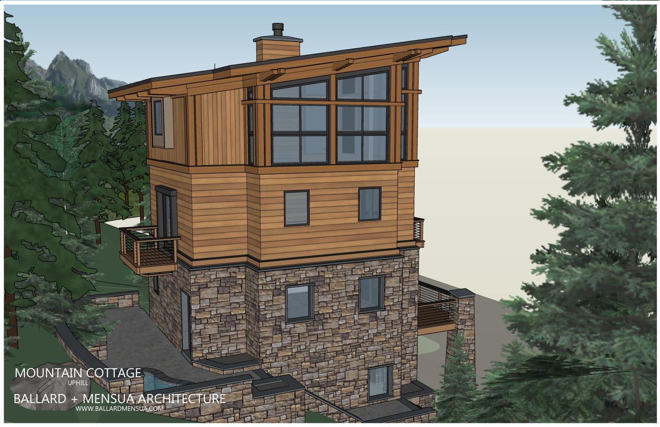 Mountain Cottage Rear